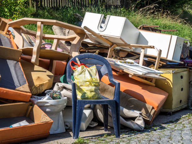 Best Professional Junk Removal  in Home Gardens, CA
